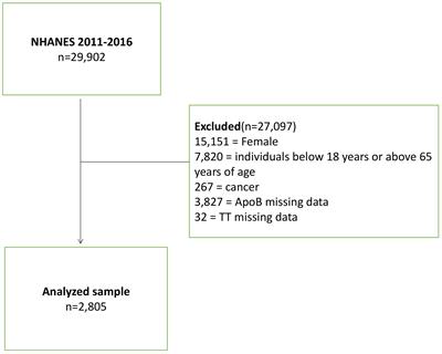 Analysis of the association between testosterone and cardiovascular disease potential risk factor apolipoprotein B in adult males without cancer: national health and nutrition examination survey 2011-2016